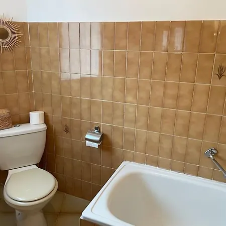 Appartement Familial Au Coeur Du Village D'Olmeto Olmeto  Esterno foto