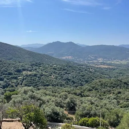 Appartement Familial Au Coeur Du Village D'Olmeto Olmeto  Esterno foto