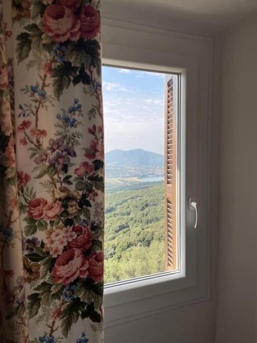 Apartment Familial Au Coeur Du Village D'olmeto
